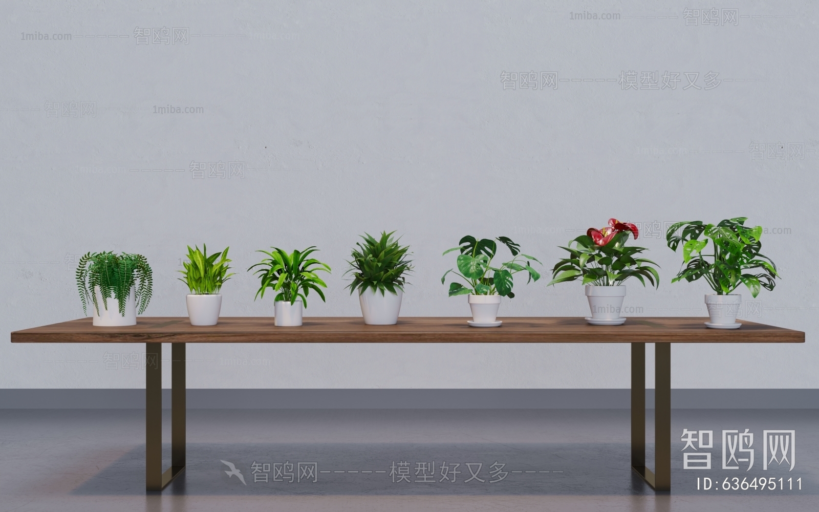 Modern Desktop Plant