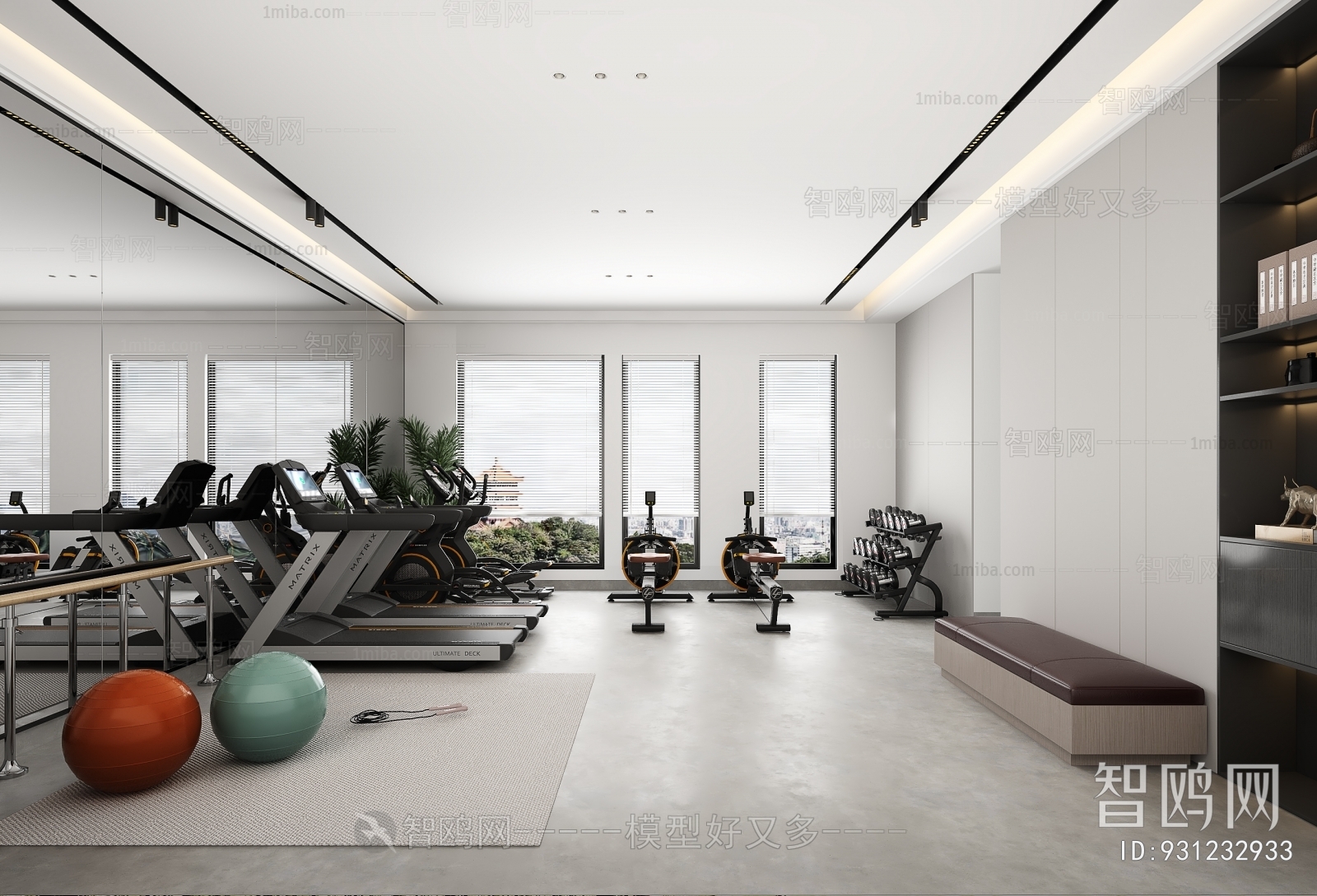 Modern Home Fitness Room