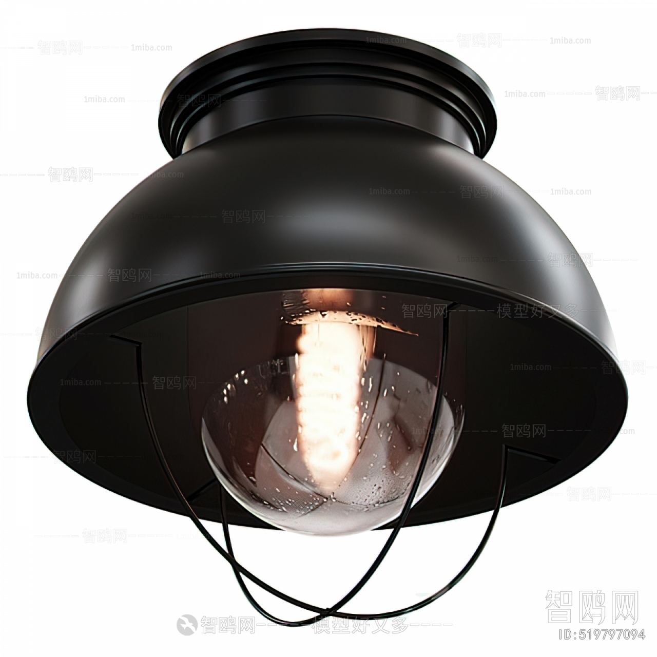 Modern Industrial Style Ceiling Ceiling Lamp