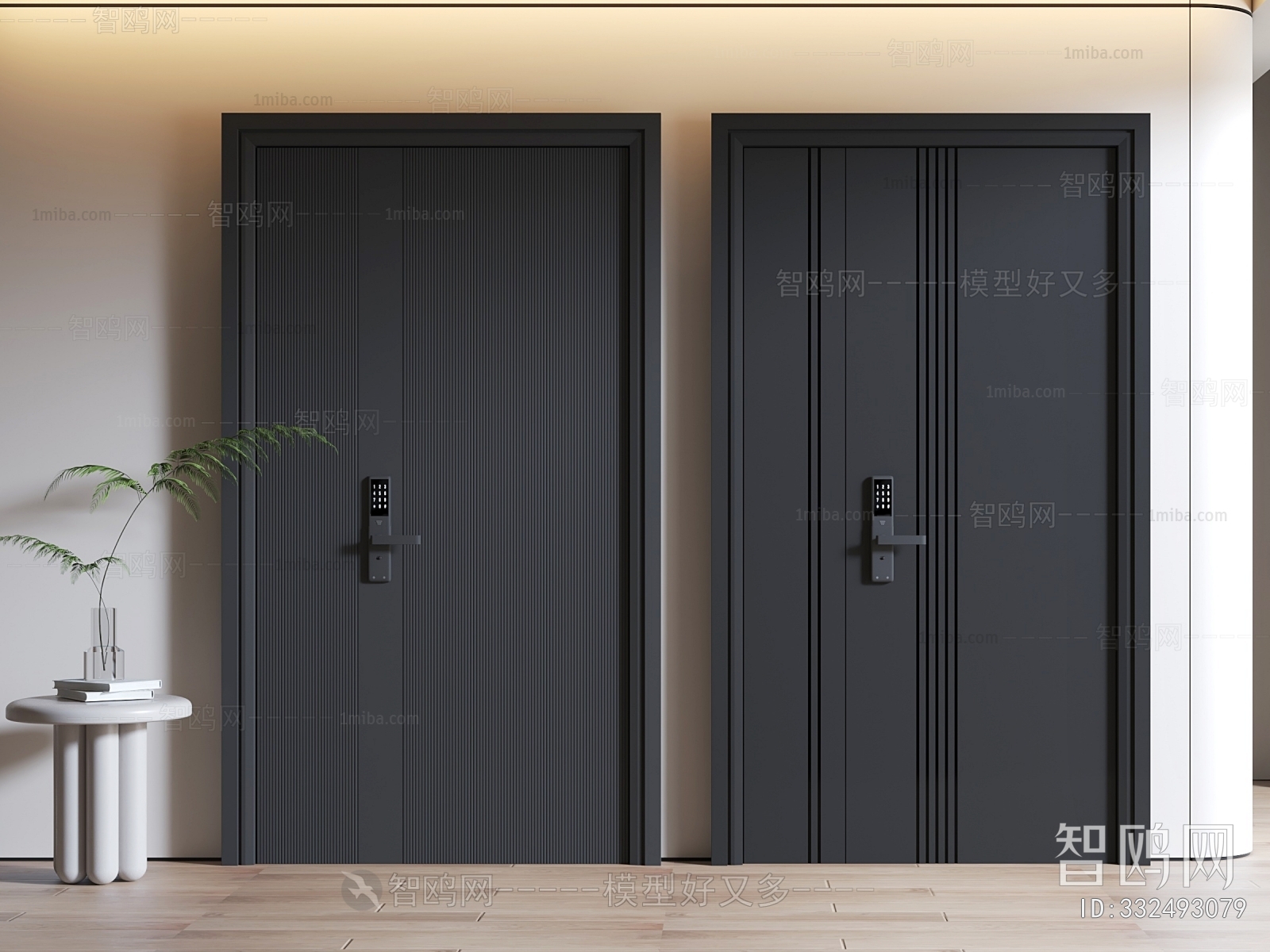 Modern Entrance Door