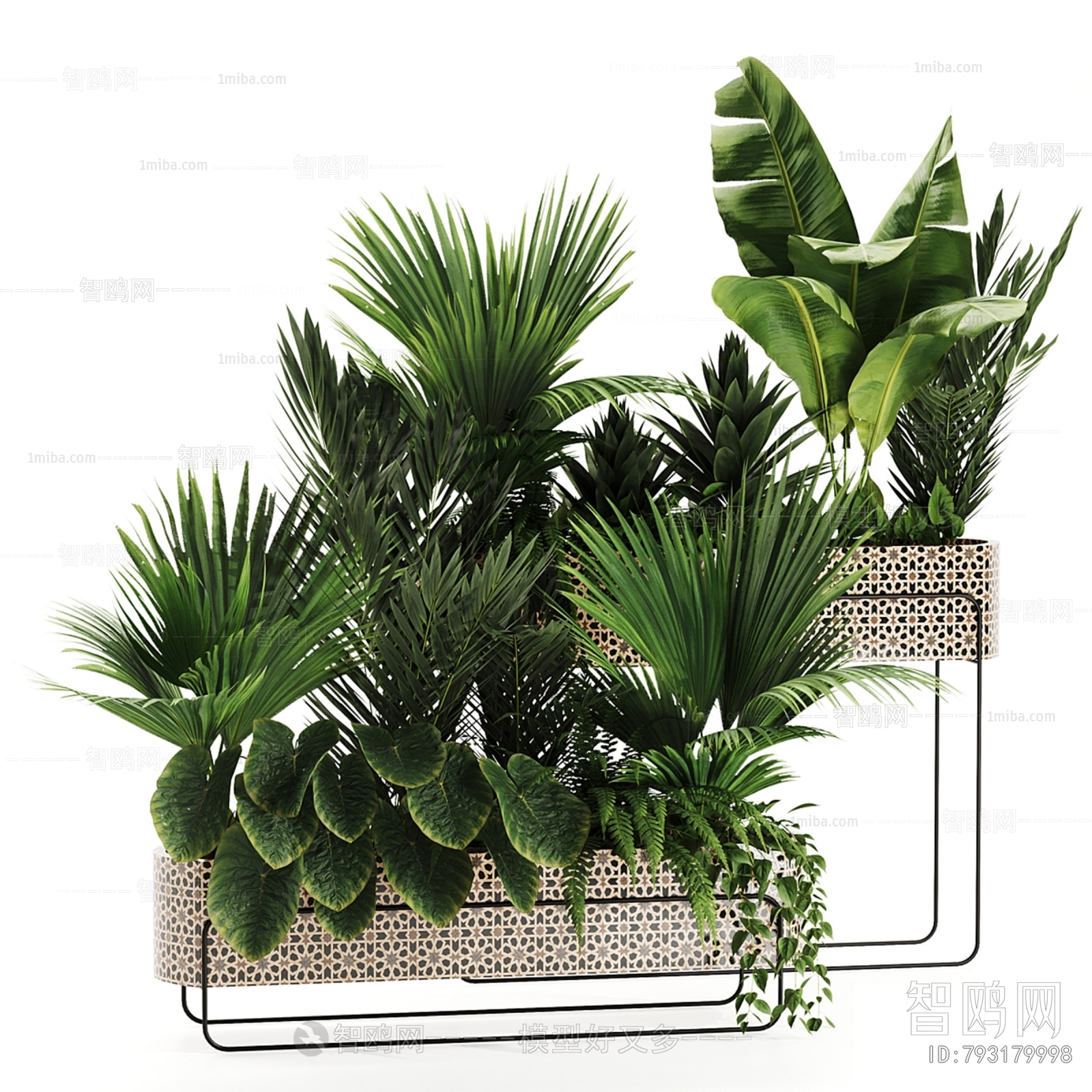 Modern Potted Green Plant