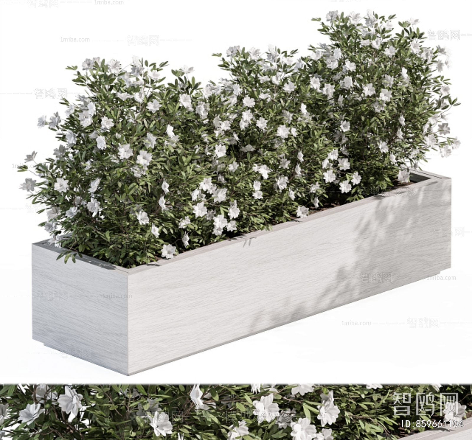 Modern Flower Bed, Flower Bowl, Flower Box