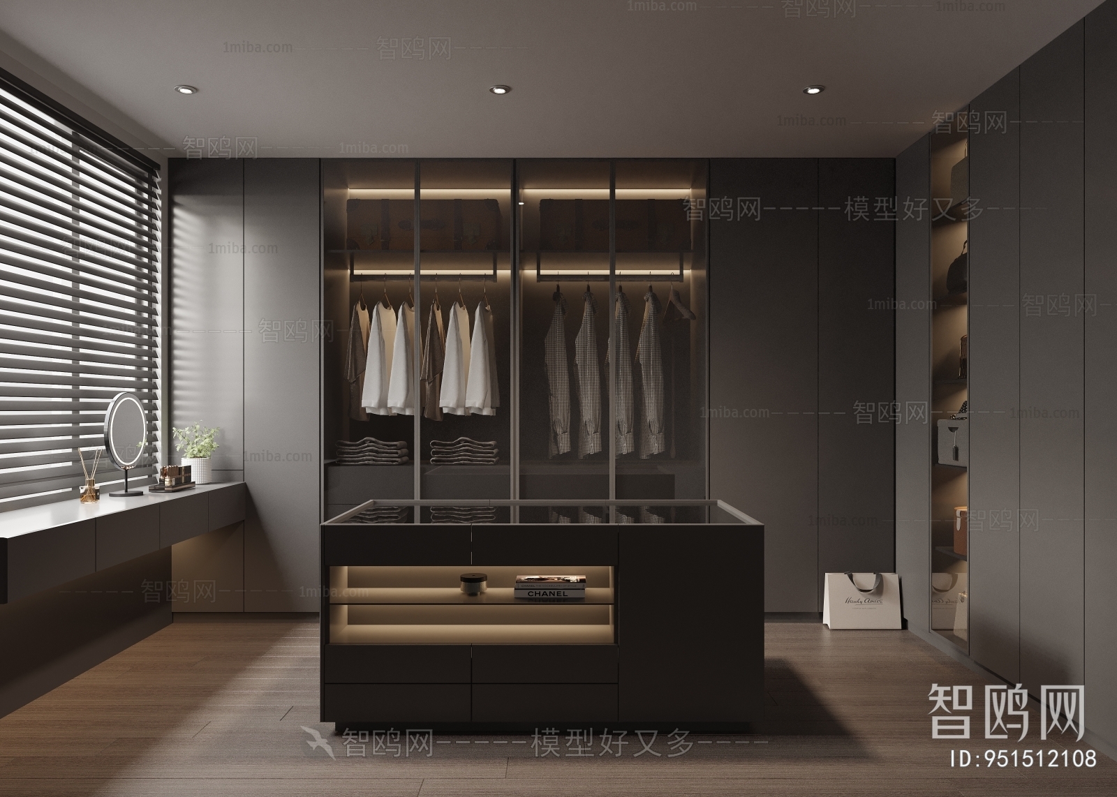 Modern Clothes Storage Area