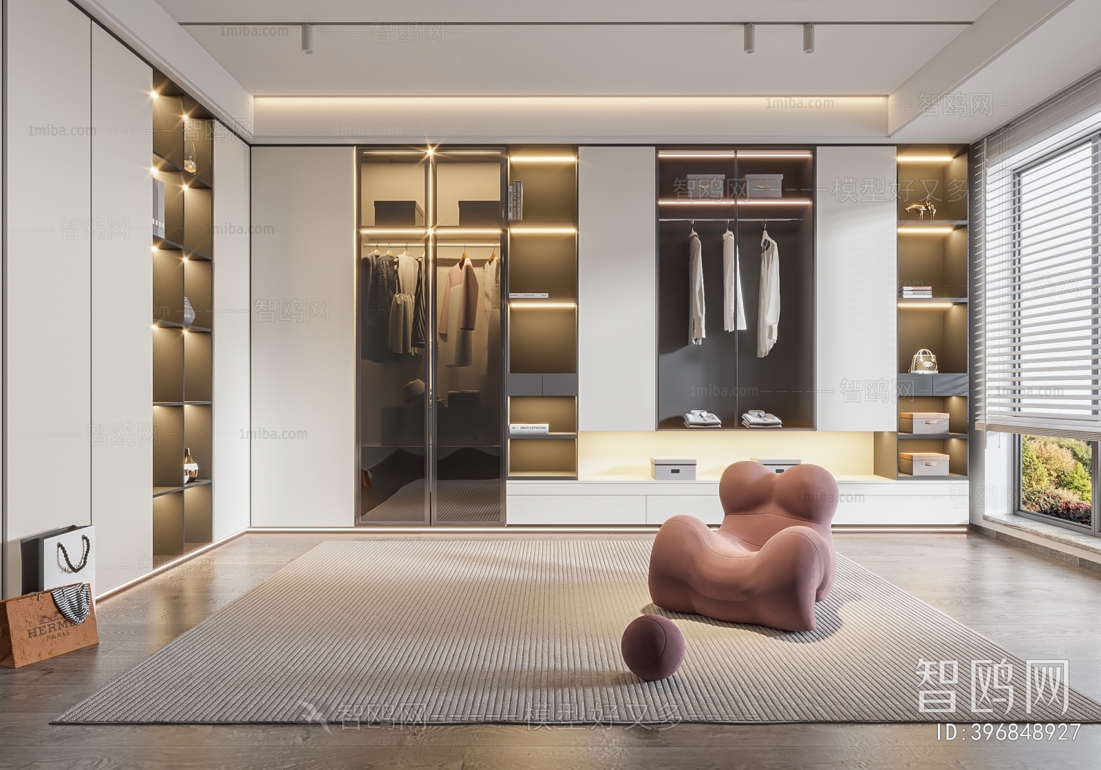 Modern Clothes Storage Area