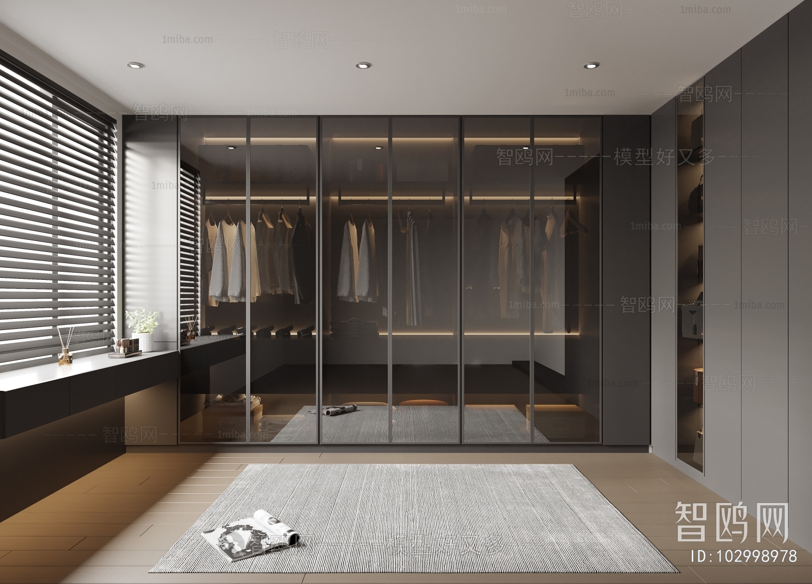 Modern Clothes Storage Area