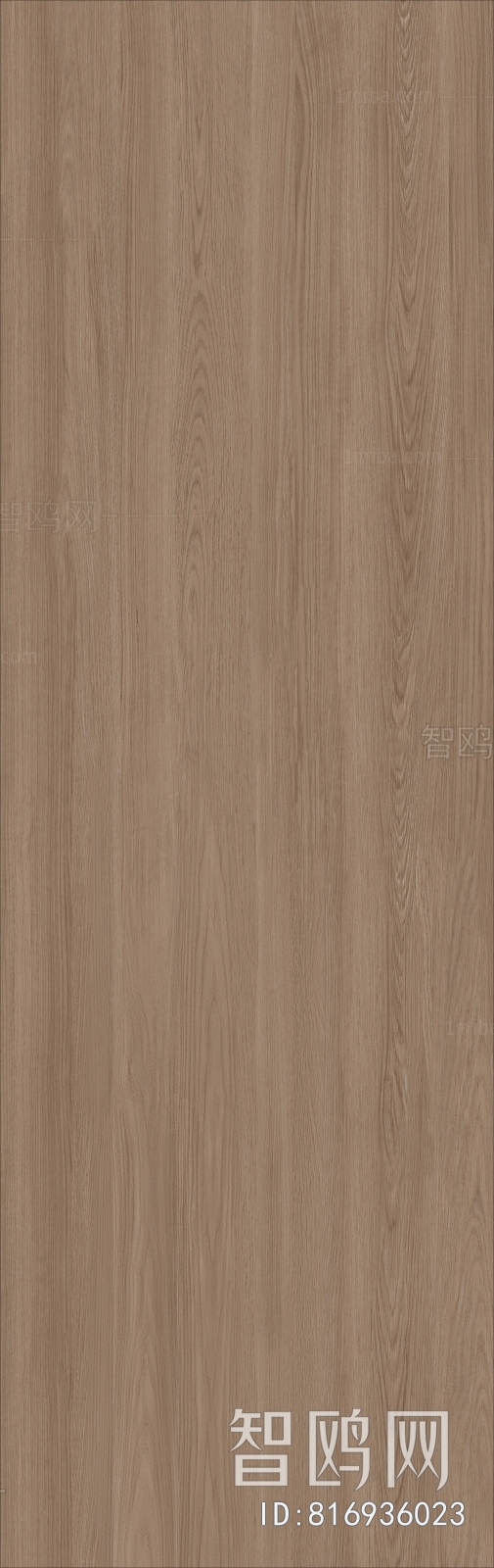 Wood Texture