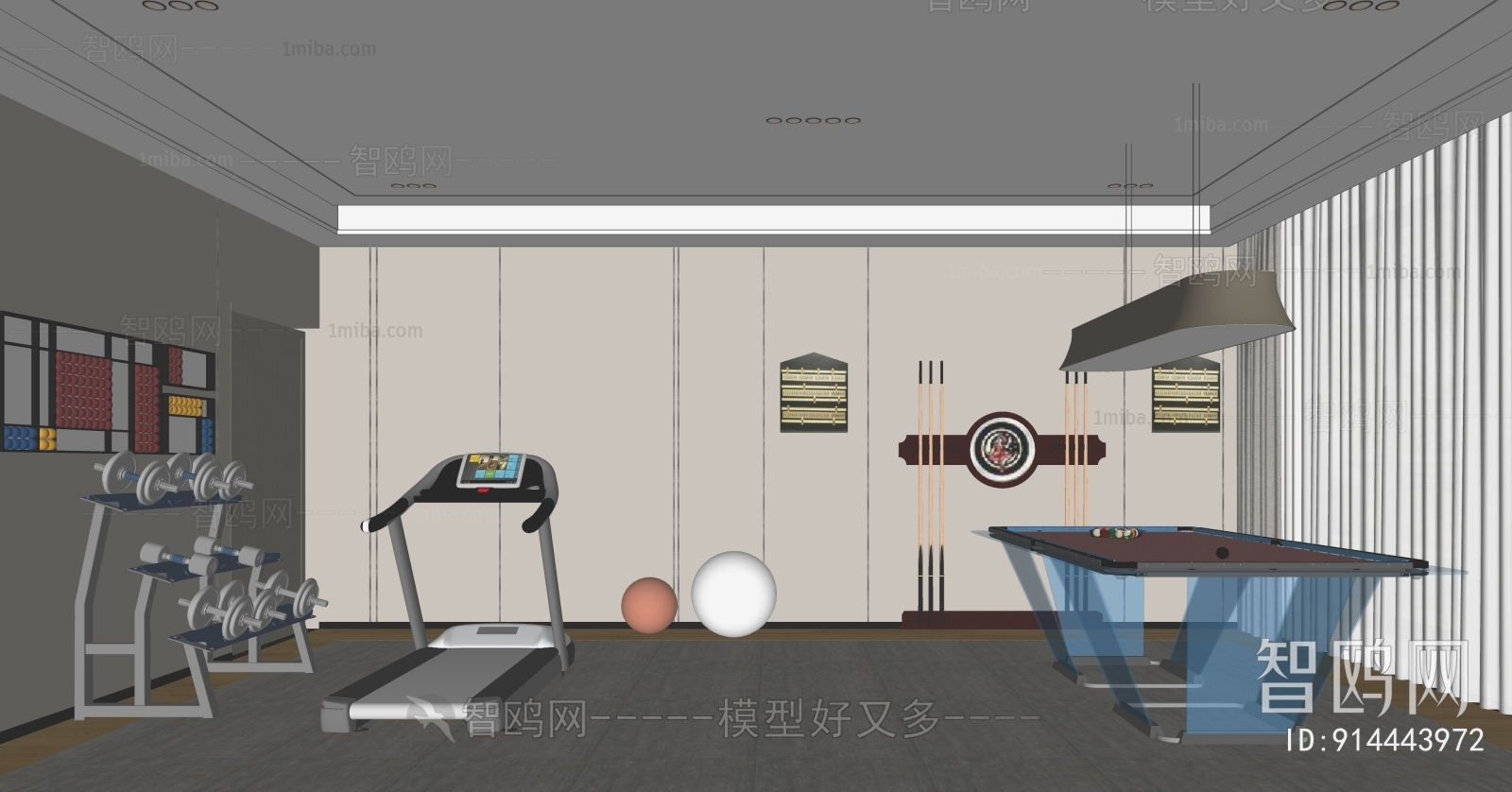 Modern Home Fitness Room