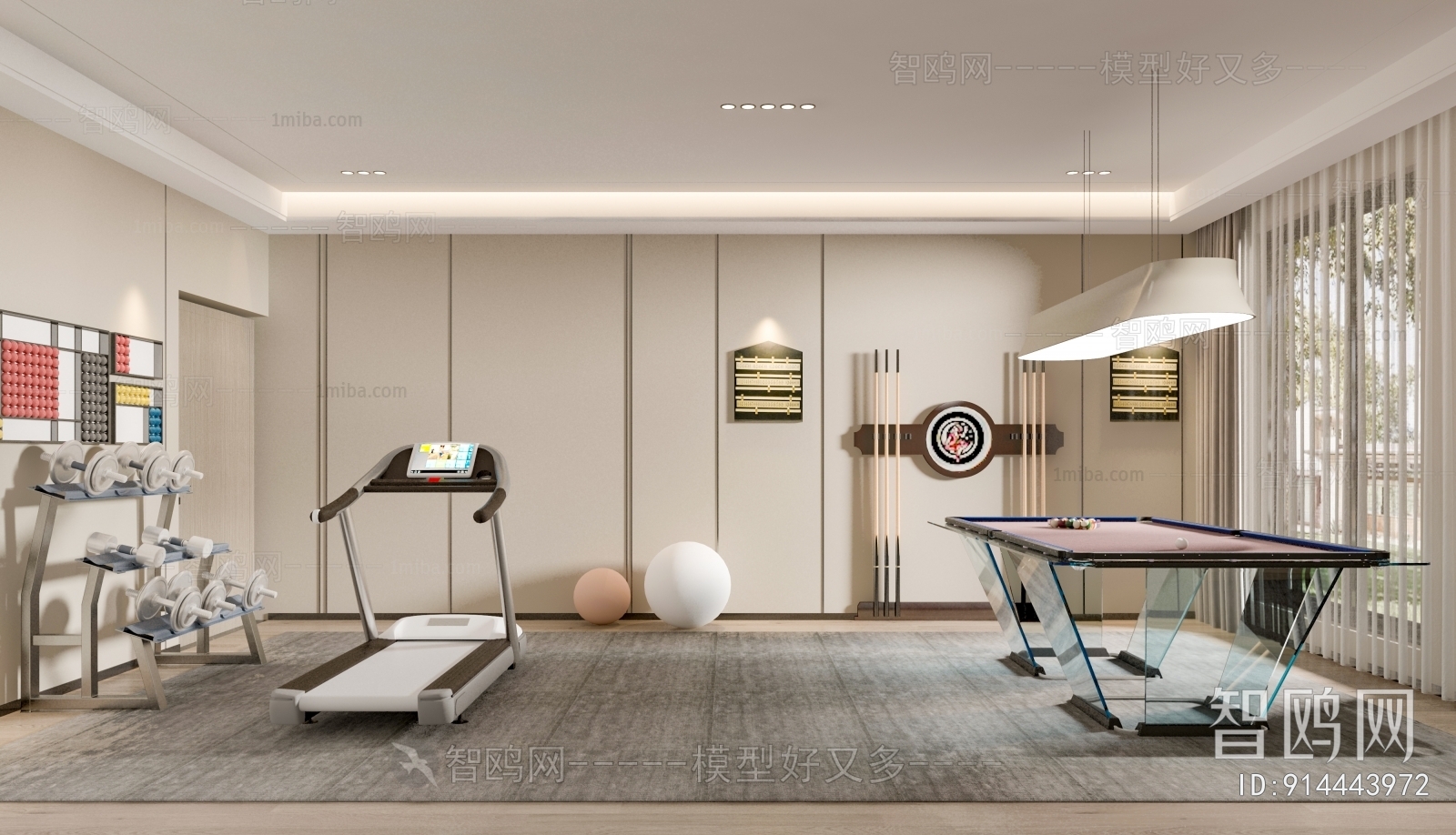 Modern Home Fitness Room