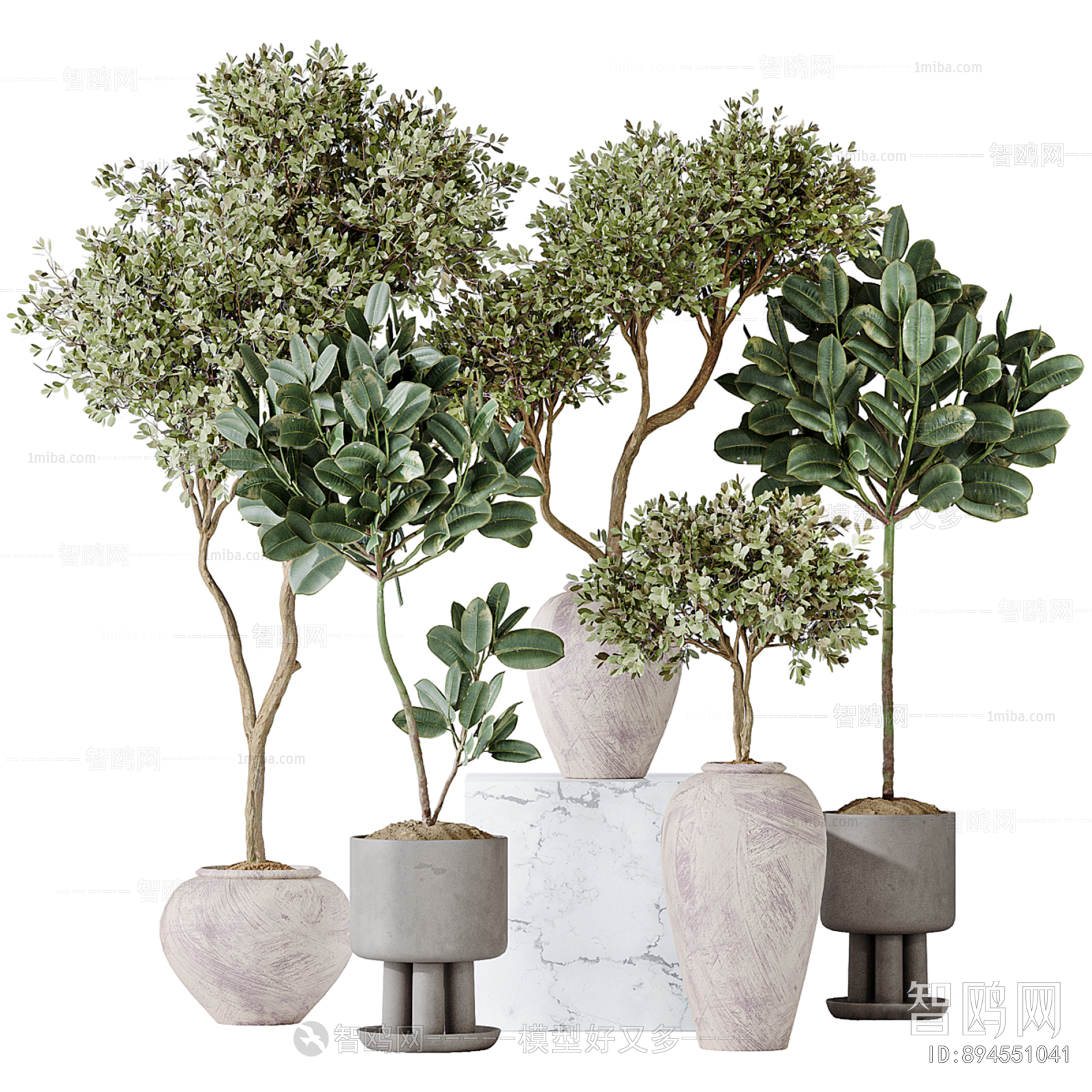 Modern Ground Green Plant Potted Plants