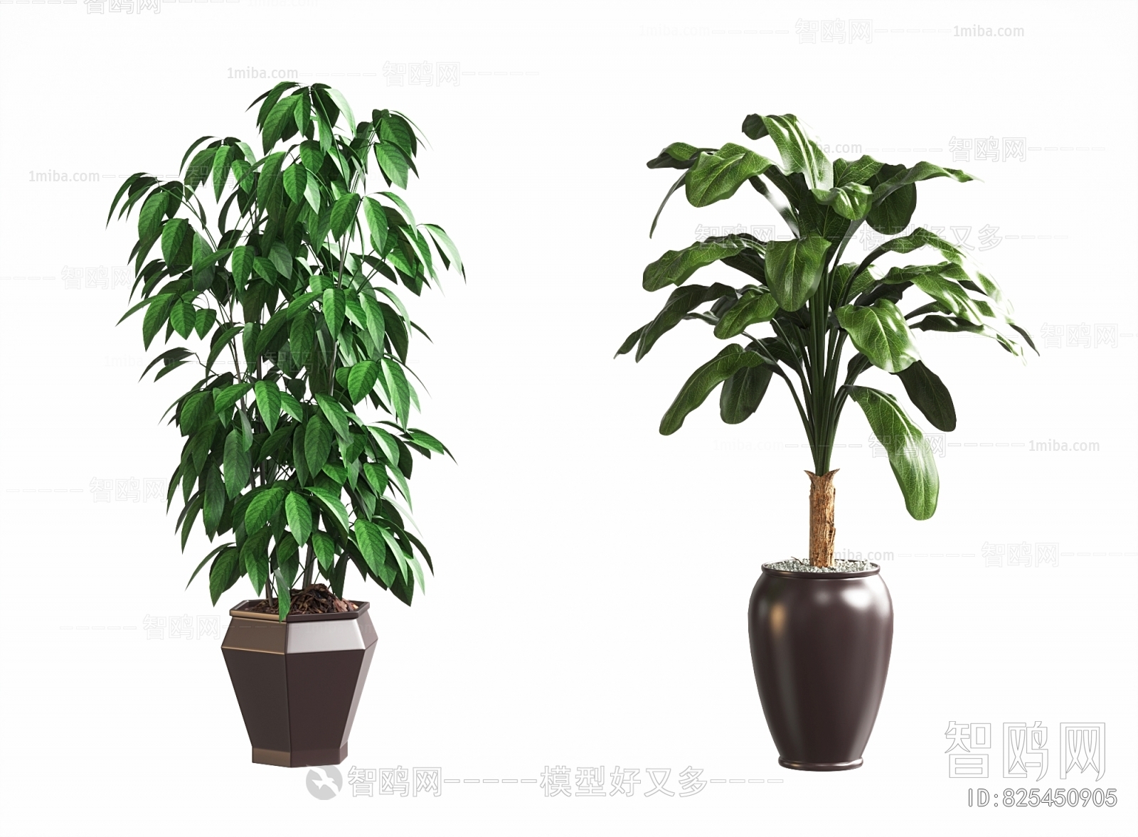 现代落地绿植盆栽