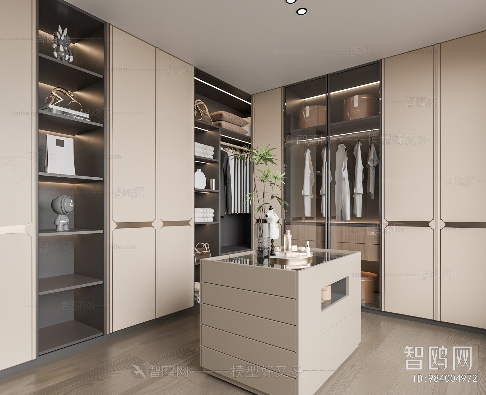 Modern Clothes Storage Area