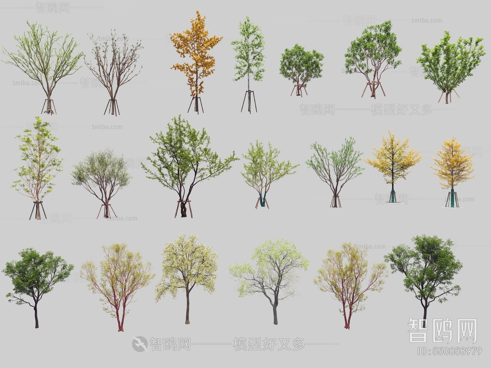 现代秋季景观树