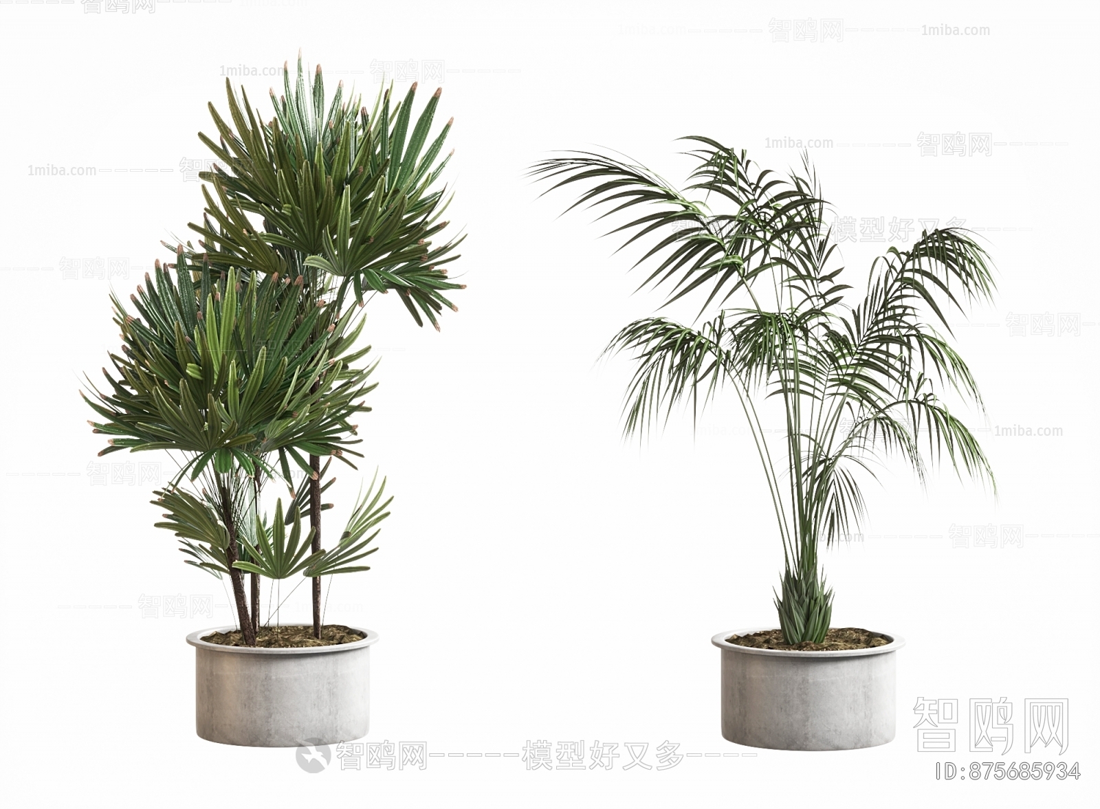 Modern Ground Green Plant Potted Plants