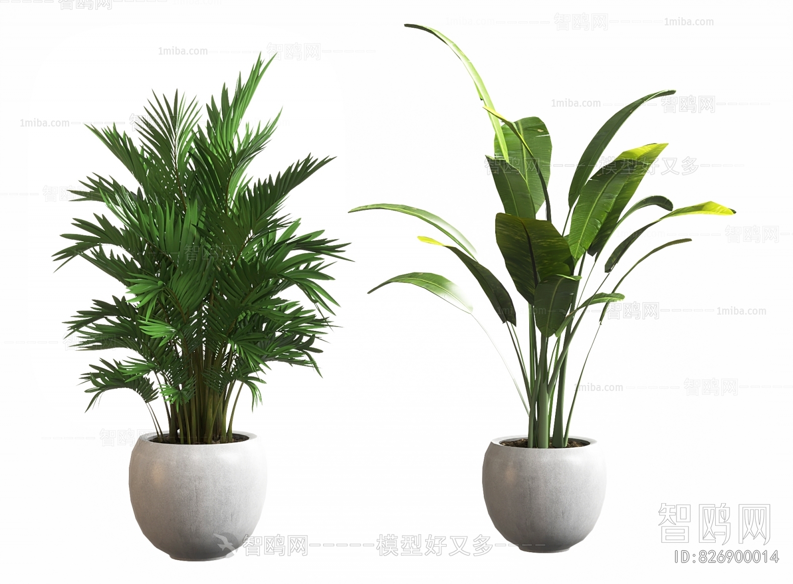 Modern Ground Green Plant Potted Plants