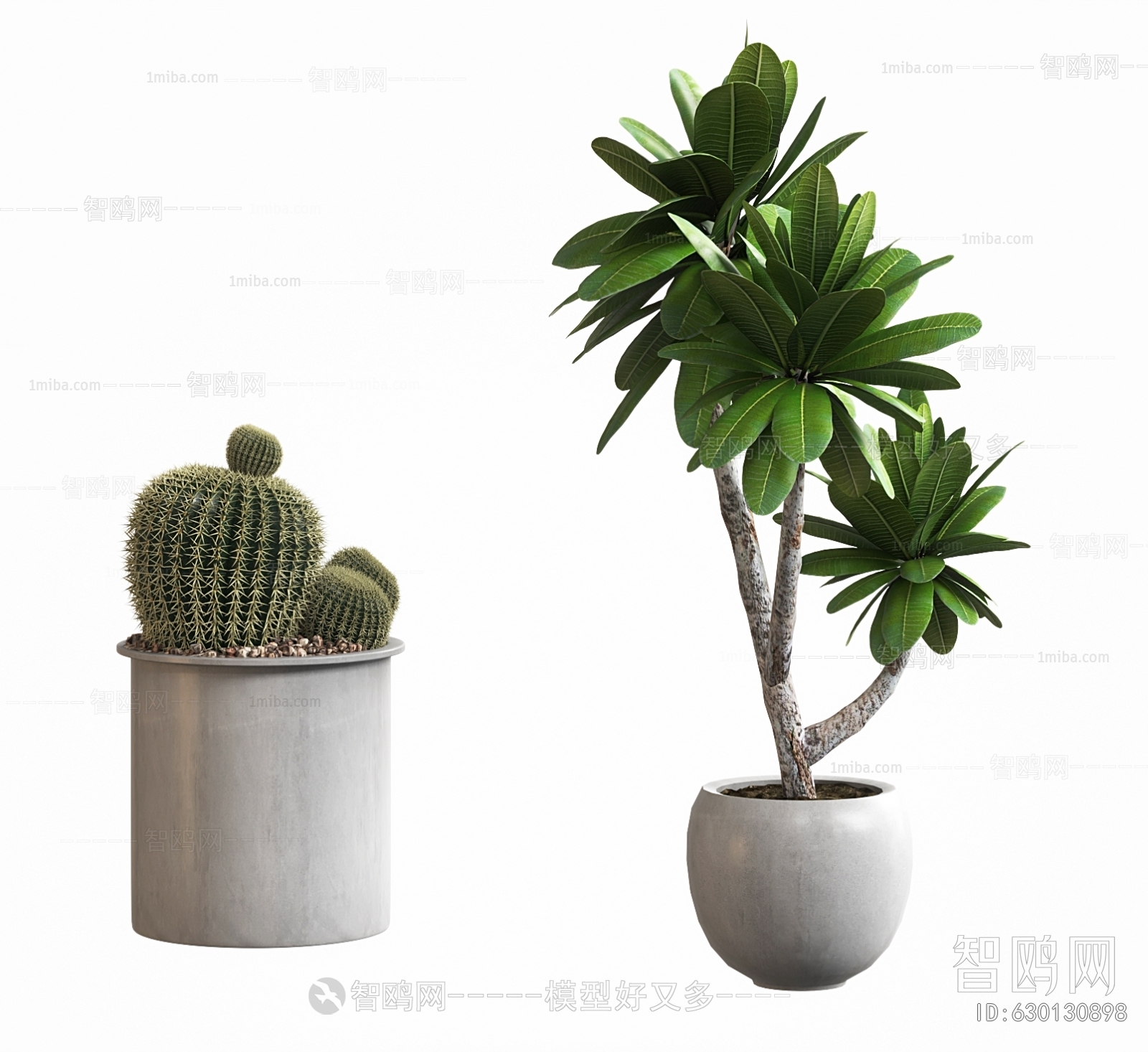 Modern Ground Green Plant Potted Plants