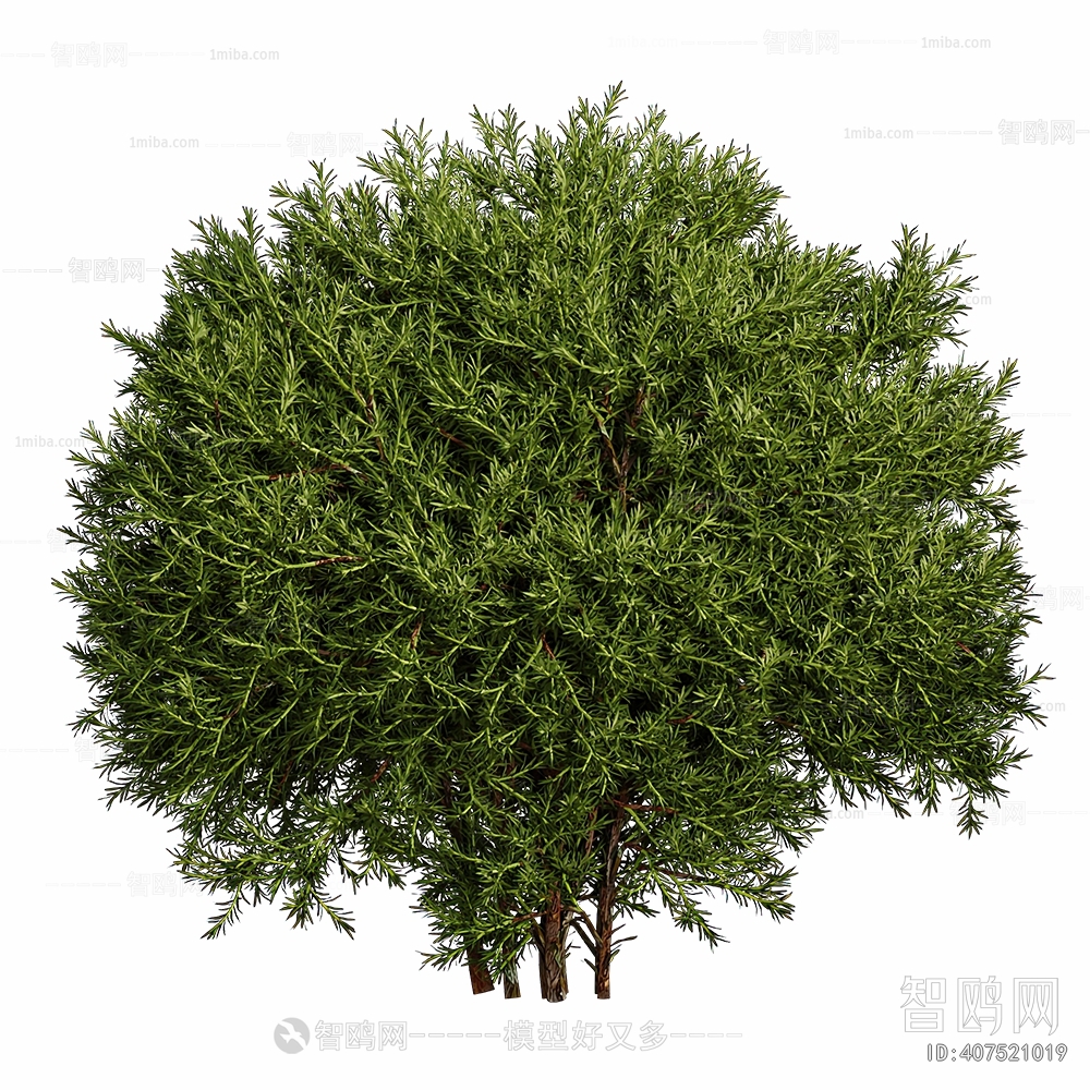 Modern Shrubbery