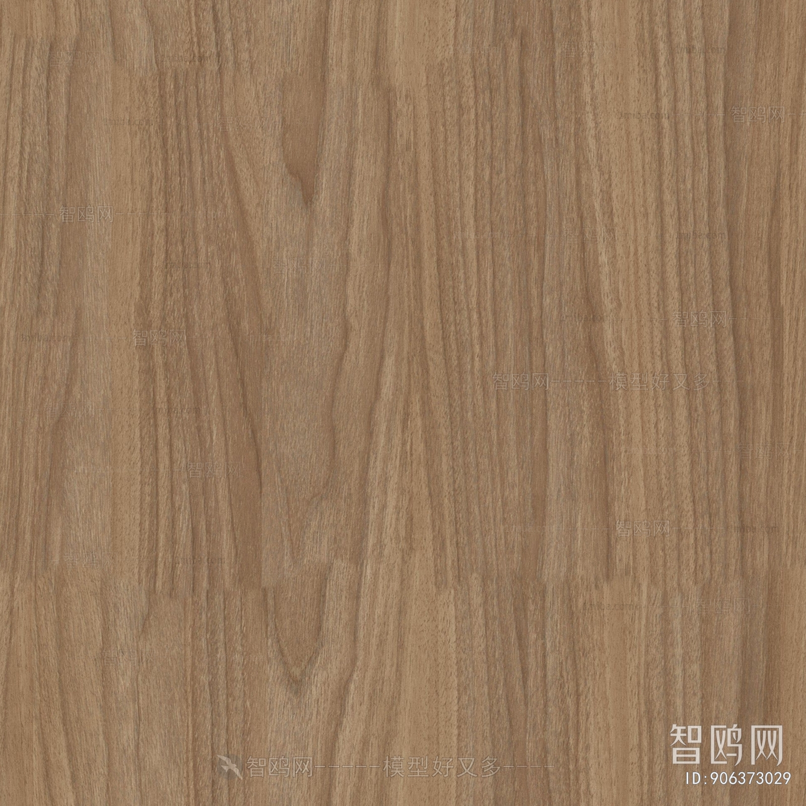 Wood Texture