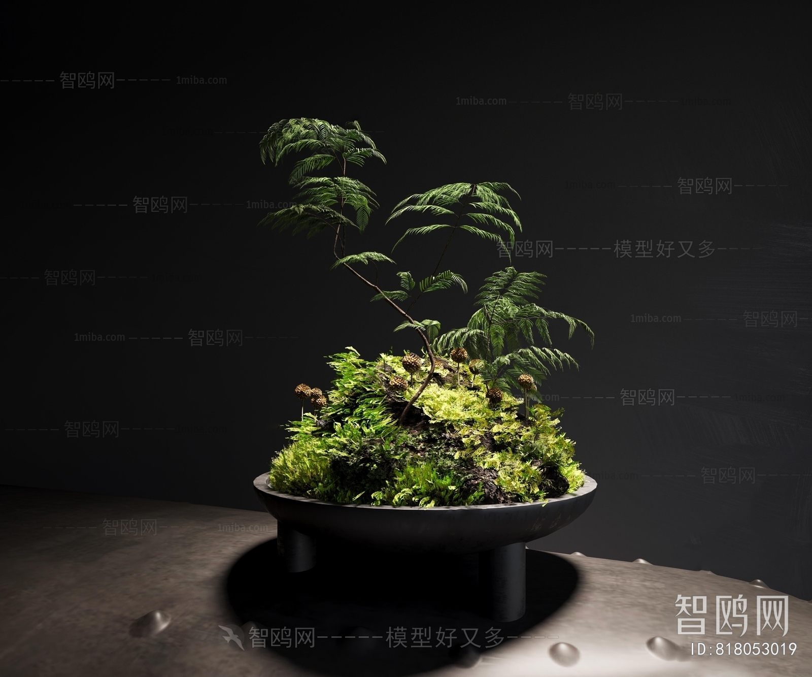 现代苔藓蕨类植物盆景3D模型下载