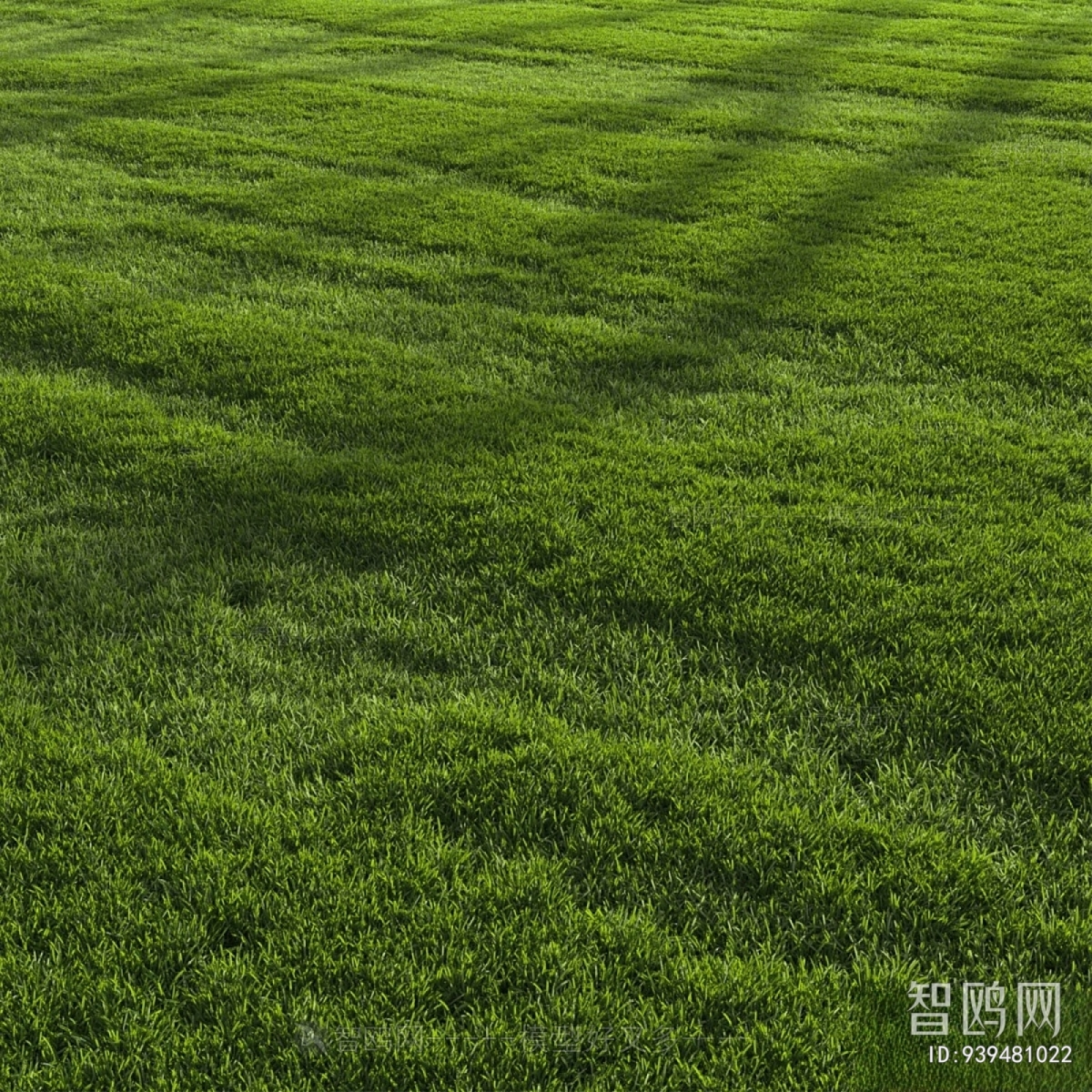 现代绿茵草坪草地