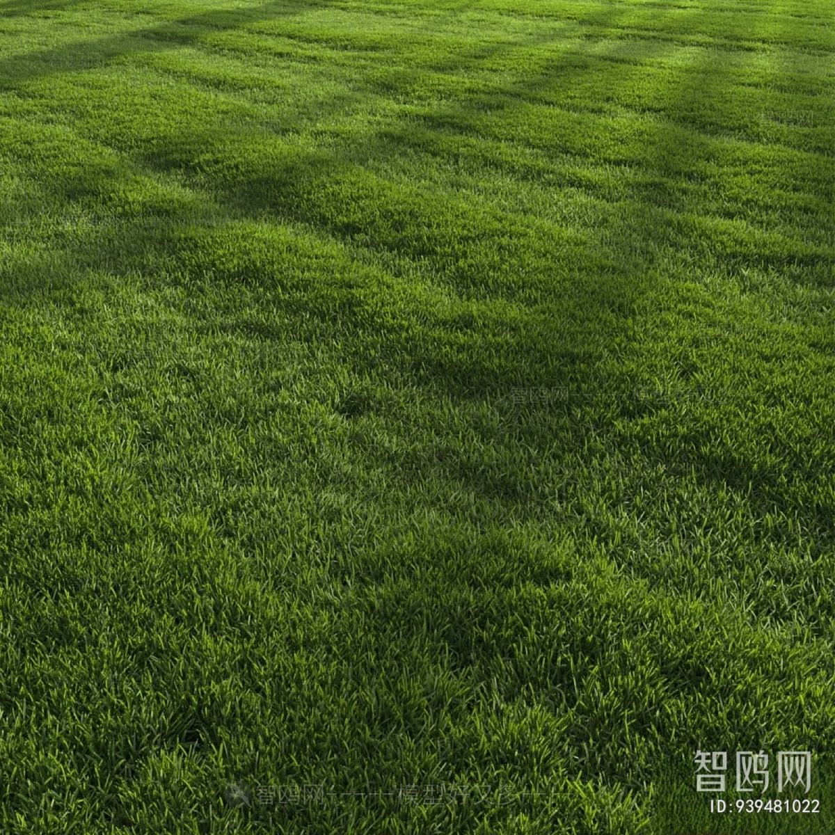 现代绿茵草坪草地