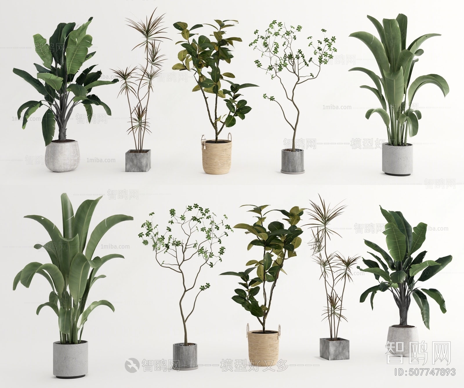 Modern Ground Green Plant Potted Plants