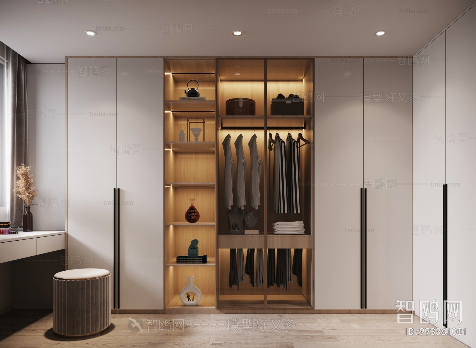 Modern Clothes Storage Area