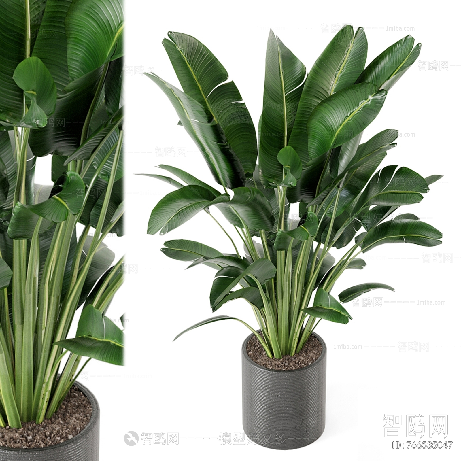 Modern Ground Green Plant Potted Plants