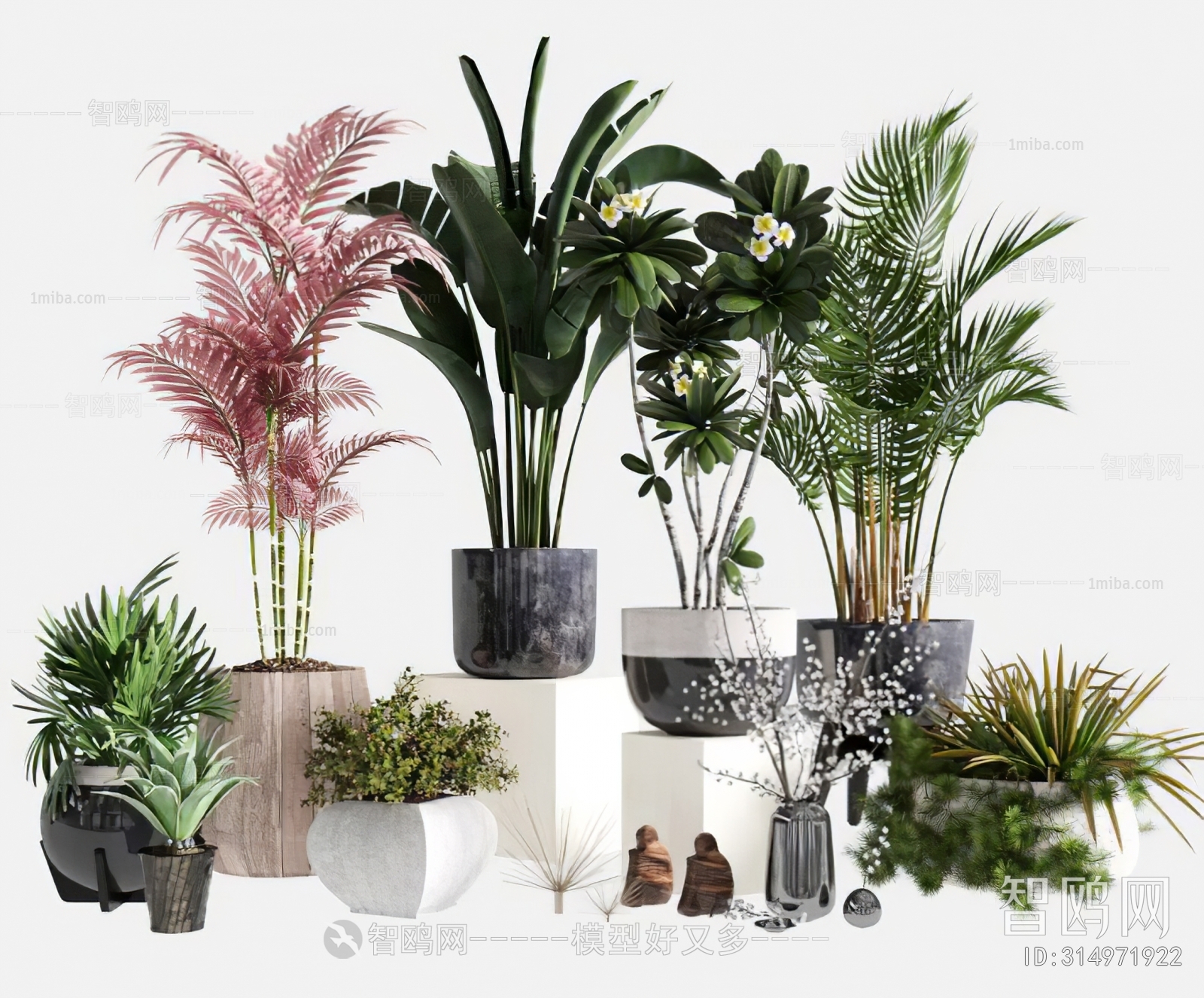 Modern Ground Green Plant Potted Plants