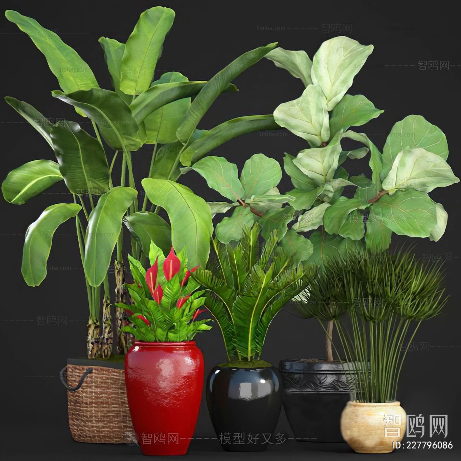 Modern Ground Green Plant Potted Plants