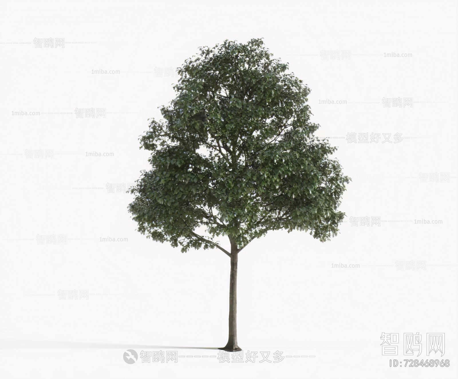 Modern Tree