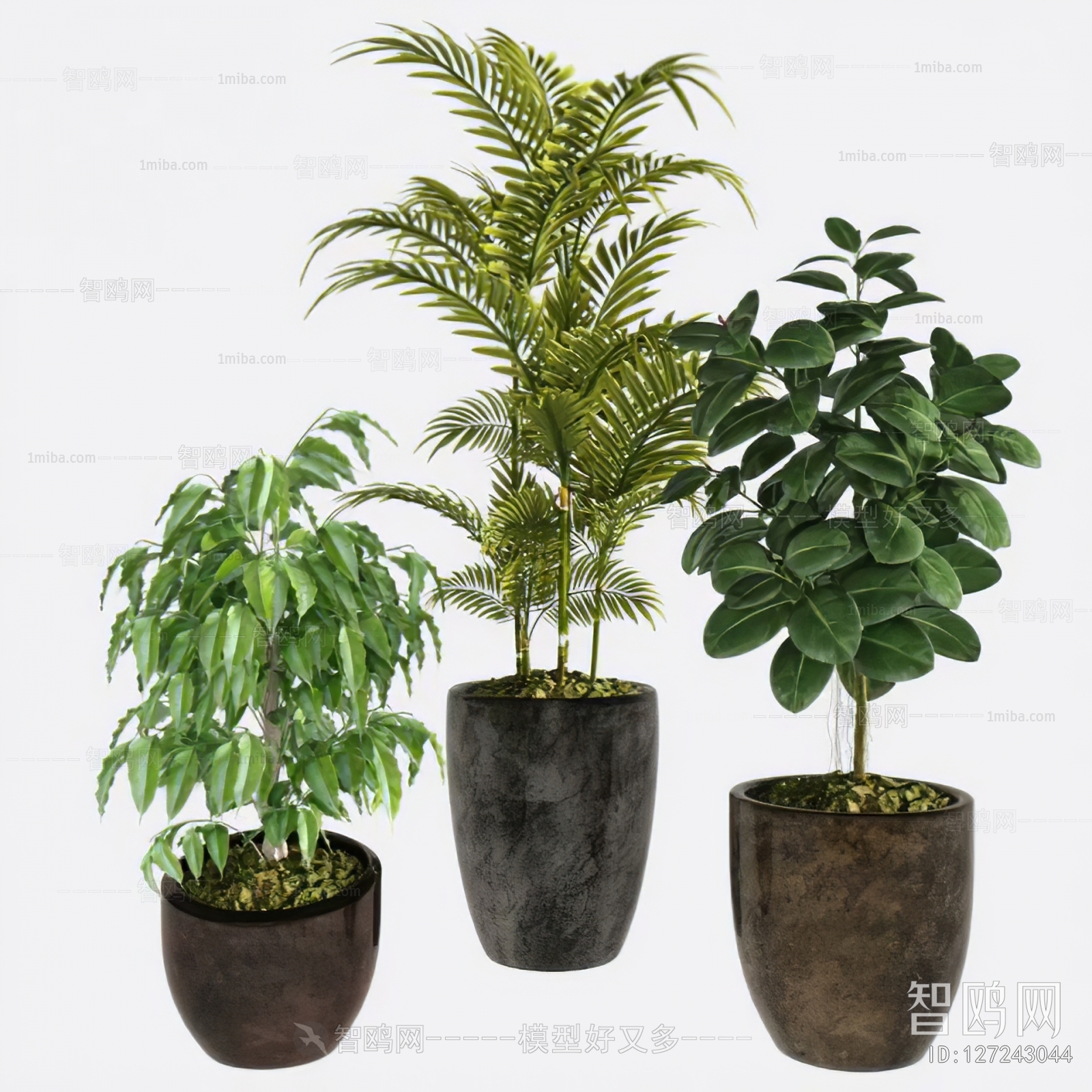 Modern Ground Green Plant Potted Plants