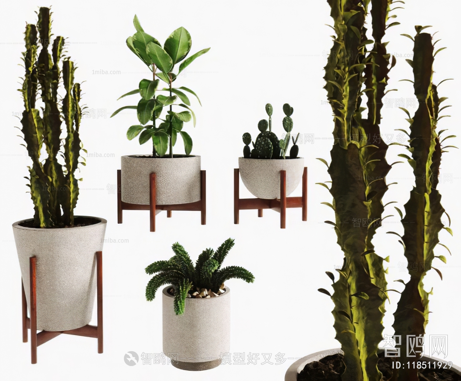 Modern Ground Green Plant Potted Plants