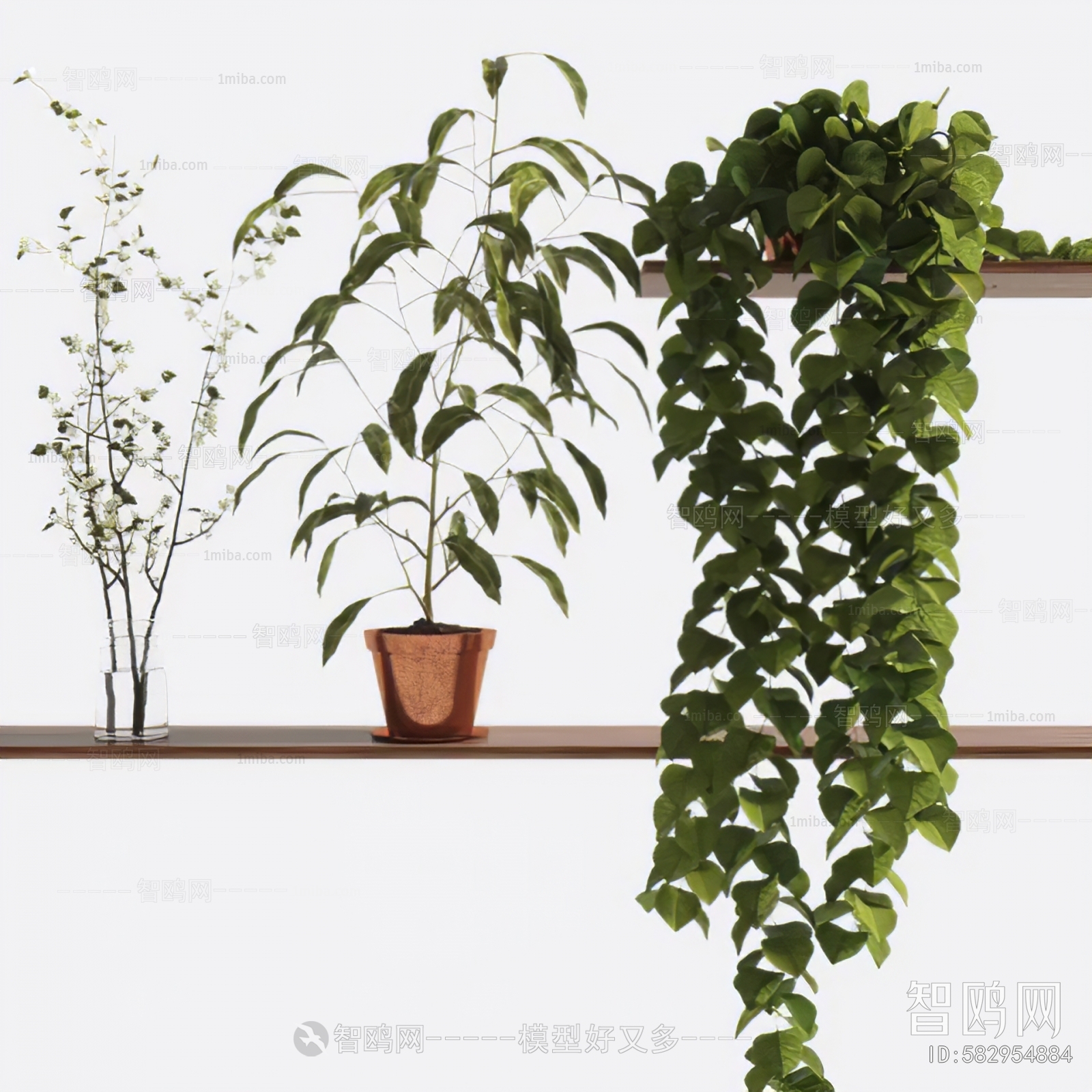 Modern Desktop Plant