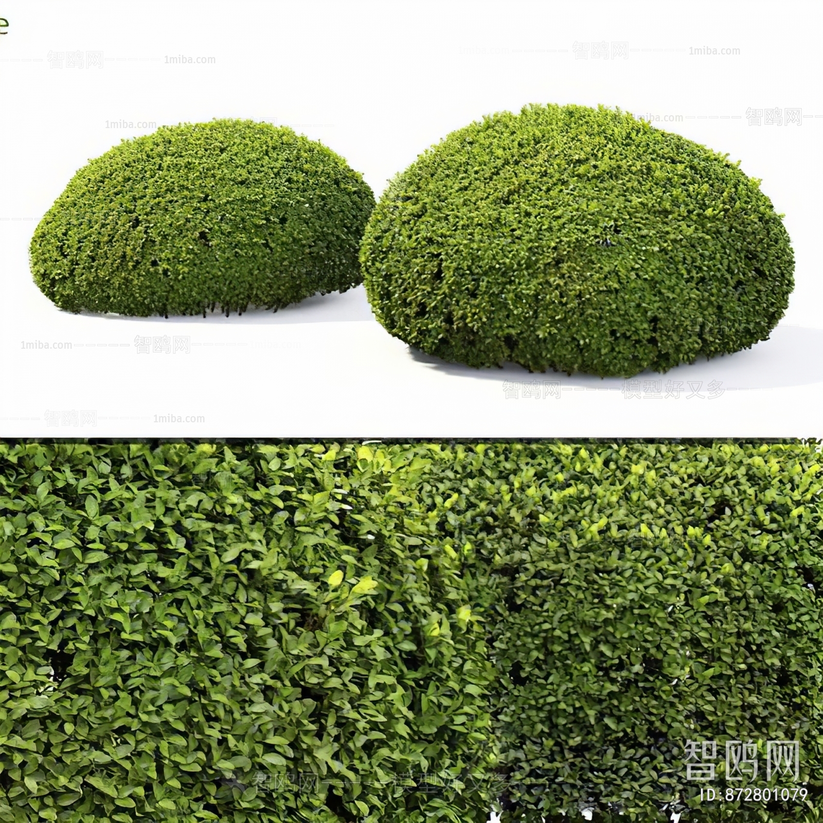 Modern Shrubbery