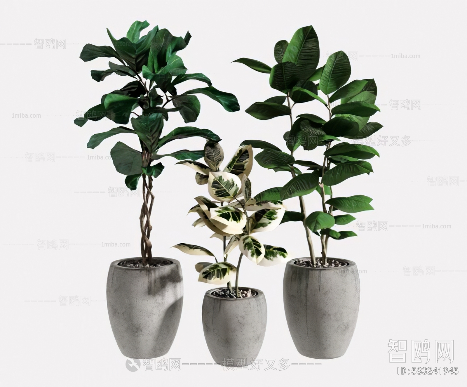 Wabi-sabi Style Ground Green Plant Potted Plants