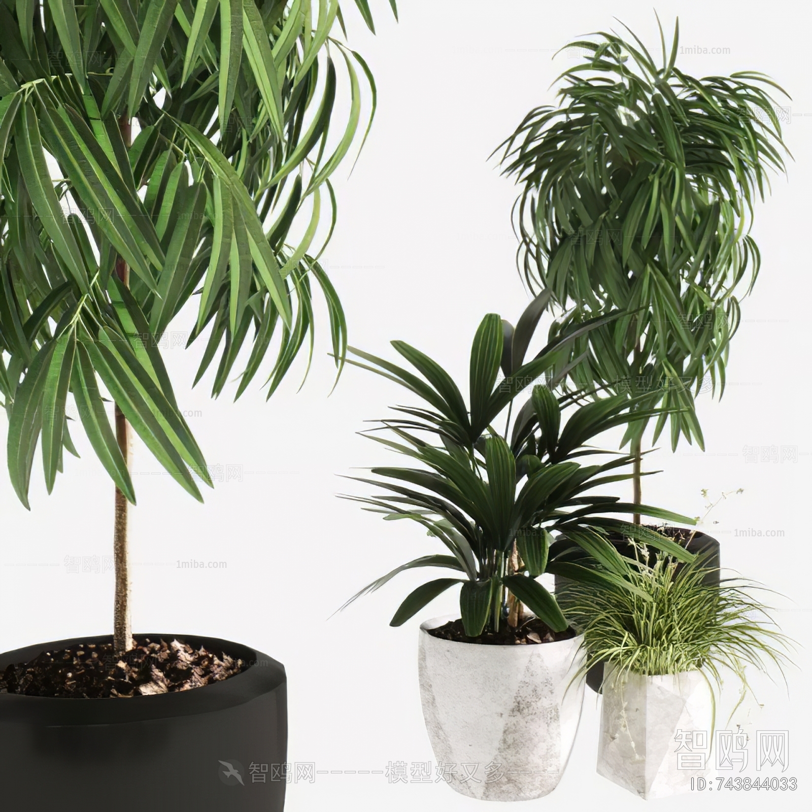 Modern Ground Green Plant Potted Plants