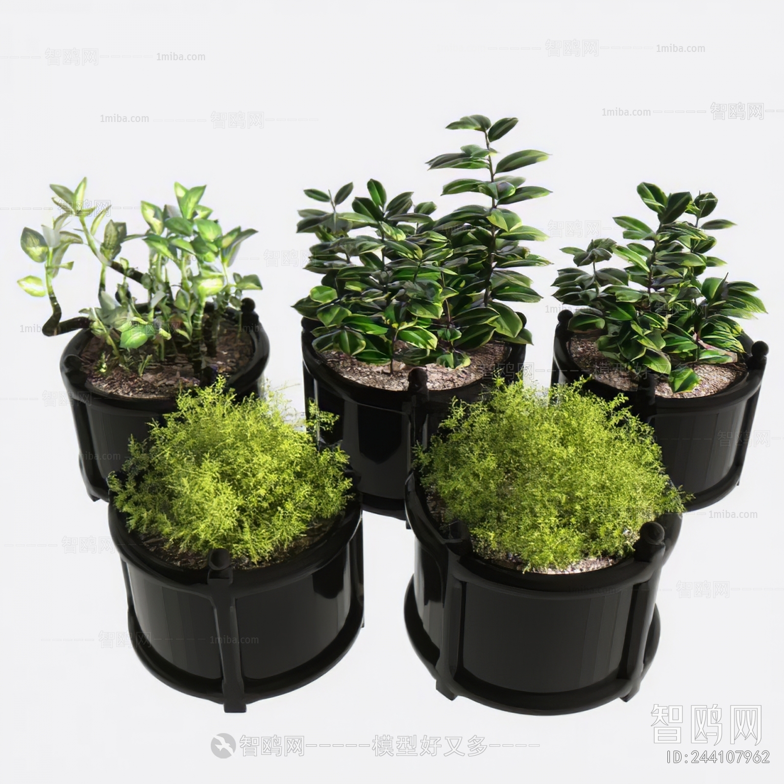 Modern Ground Green Plant Potted Plants