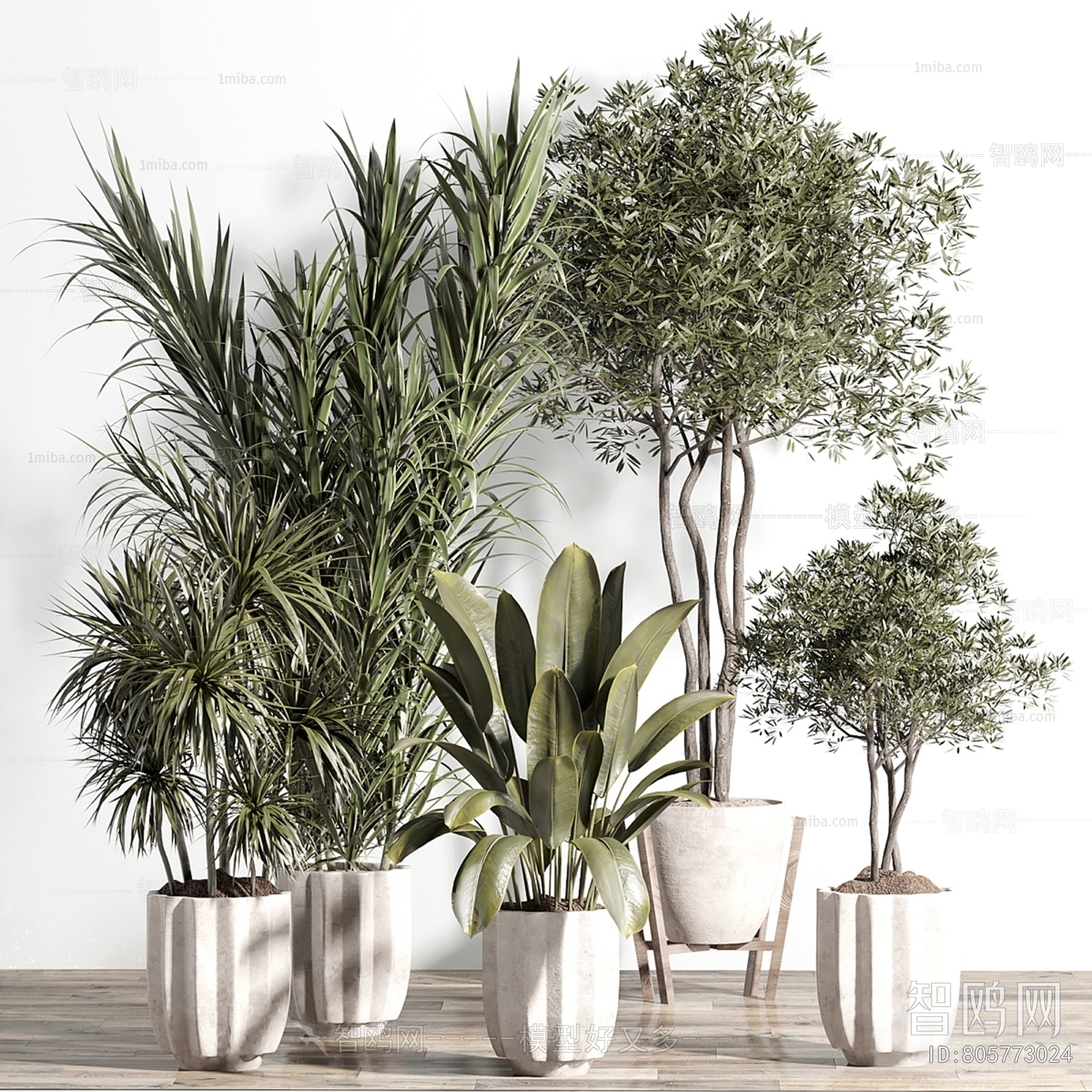 Modern Ground Green Plant Potted Plants