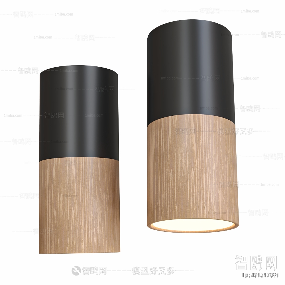 Modern Ceiling Ceiling Lamp