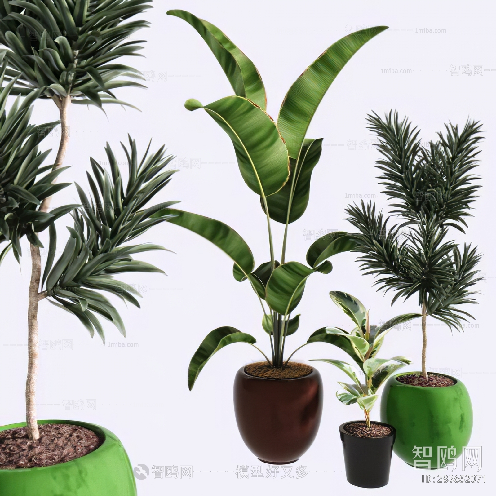 Modern Ground Green Plant Potted Plants