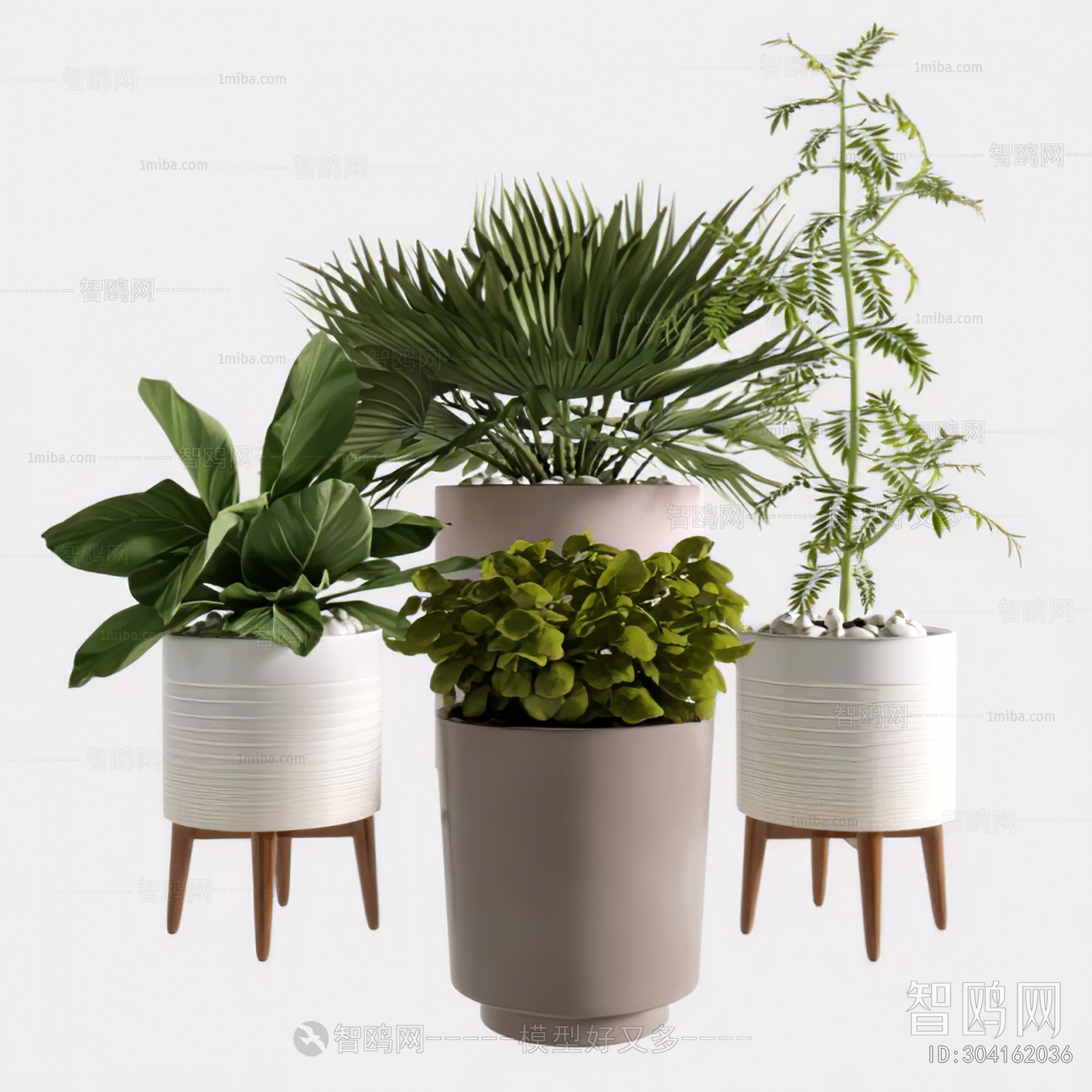 Modern Ground Green Plant Potted Plants