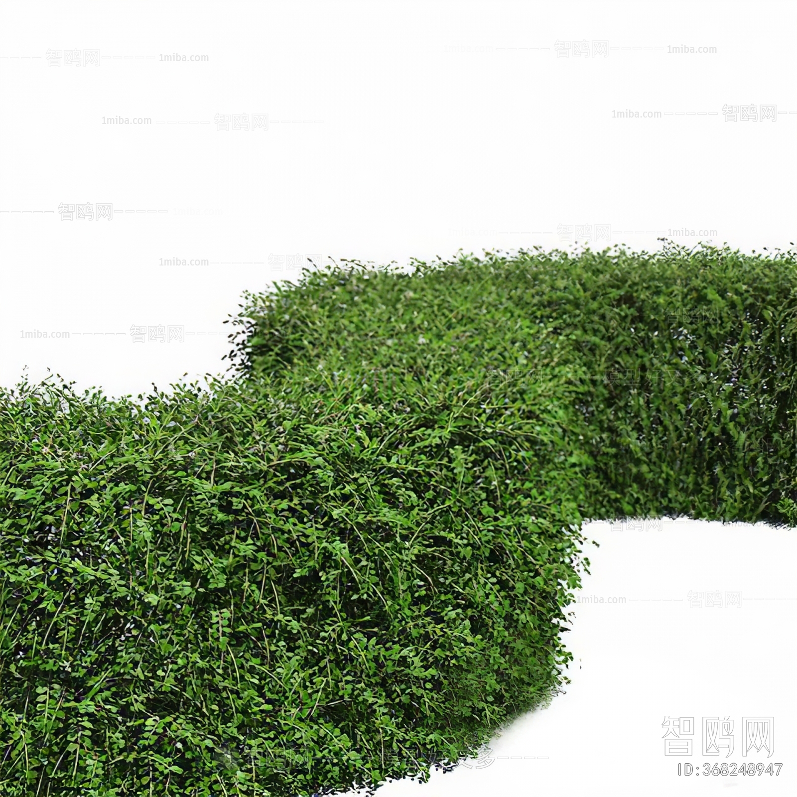 Modern Shrubbery