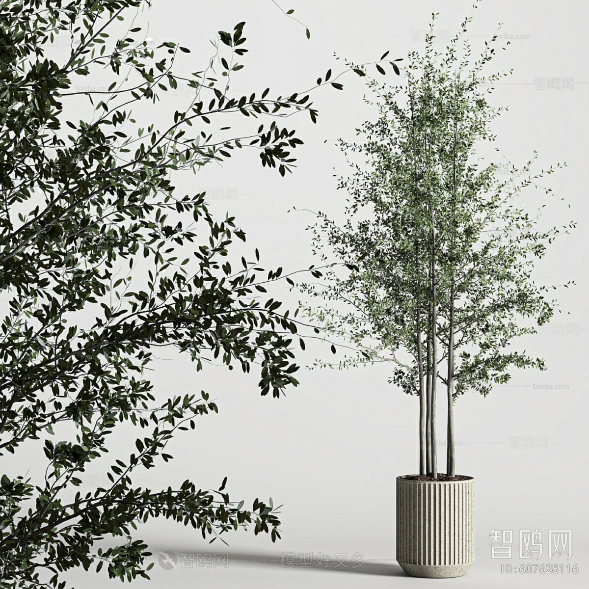 Modern Ground Green Plant Potted Plants