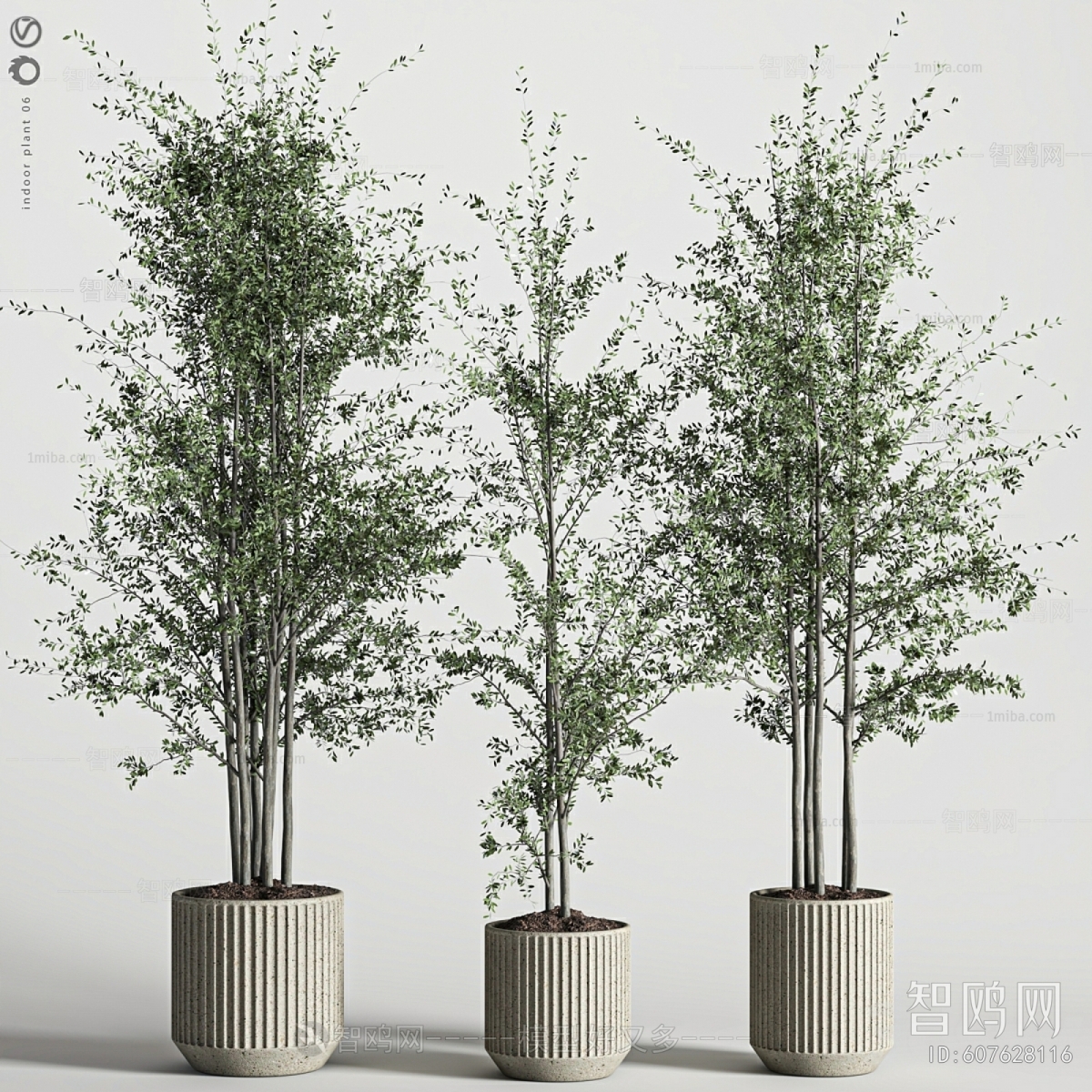 Modern Ground Green Plant Potted Plants