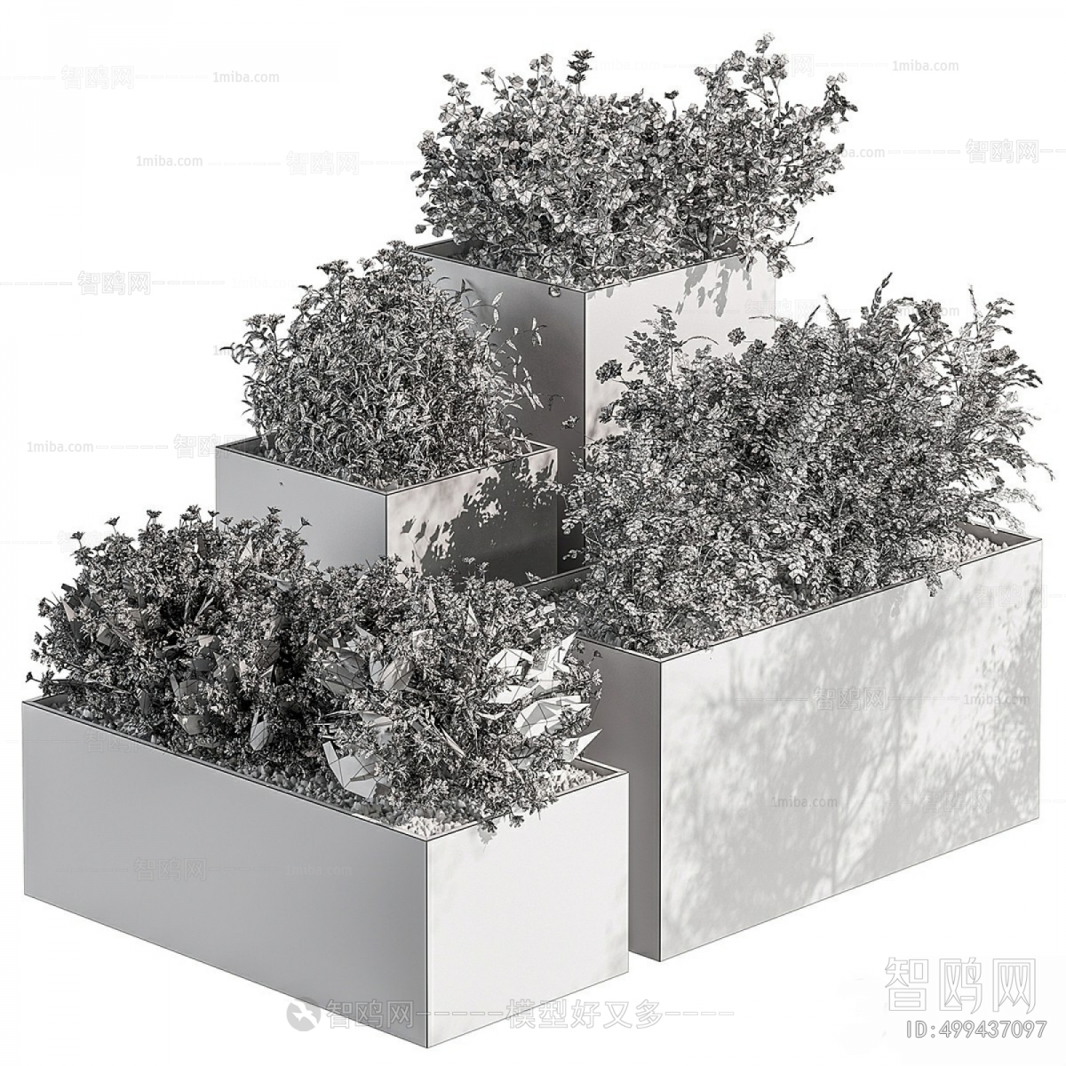 Modern Flower Bed, Flower Bowl, Flower Box