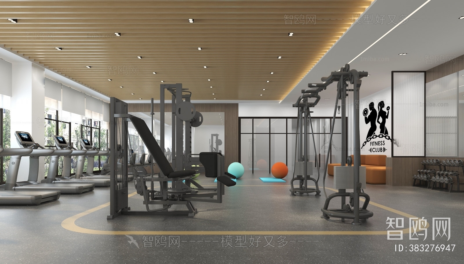 Modern Gym