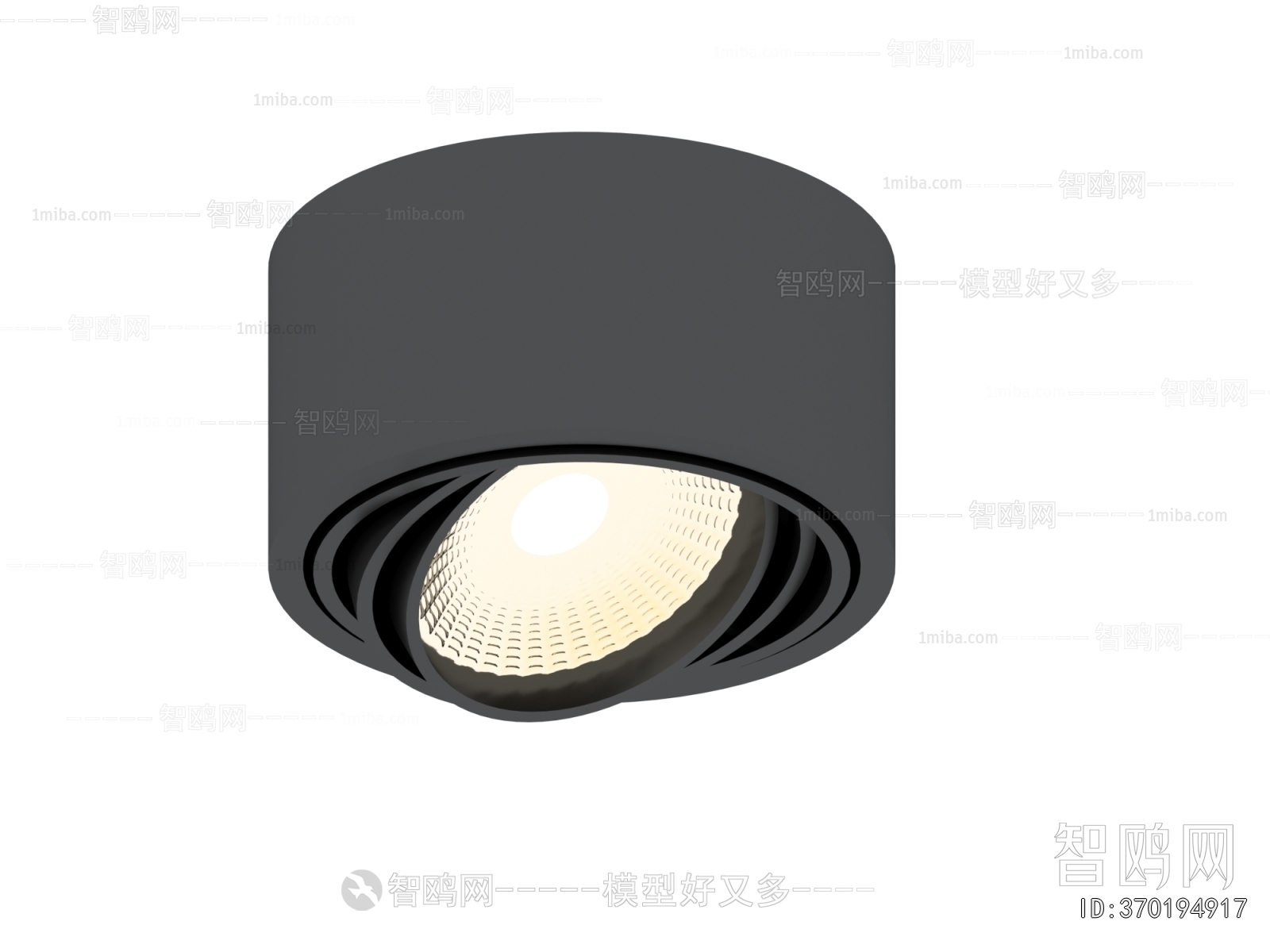 Modern Downlight Spot Light