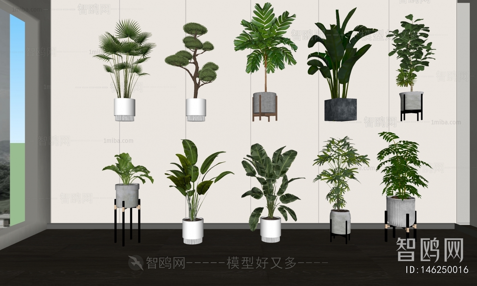 Modern Ground Green Plant Potted Plants