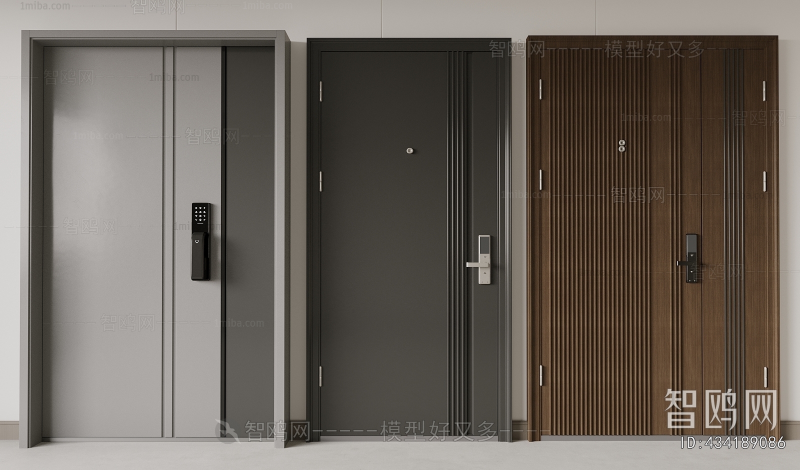 Modern Entrance Door