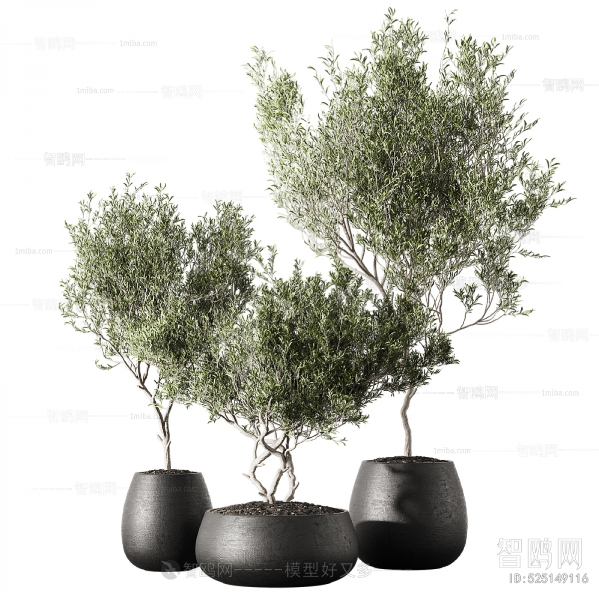 Modern Ground Green Plant Potted Plants